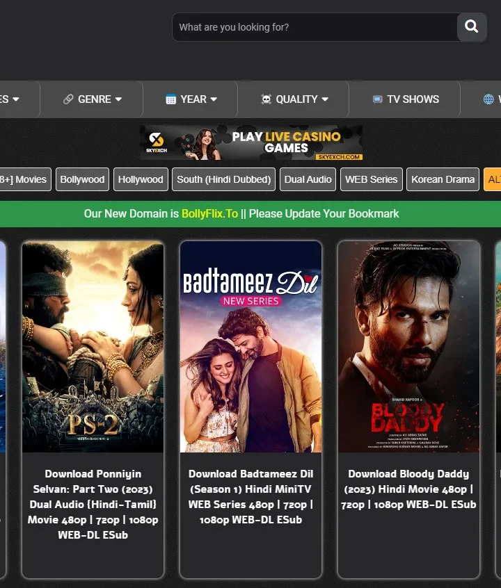 Bollyflix | Latest Bollywood Movies, News & Entertainment